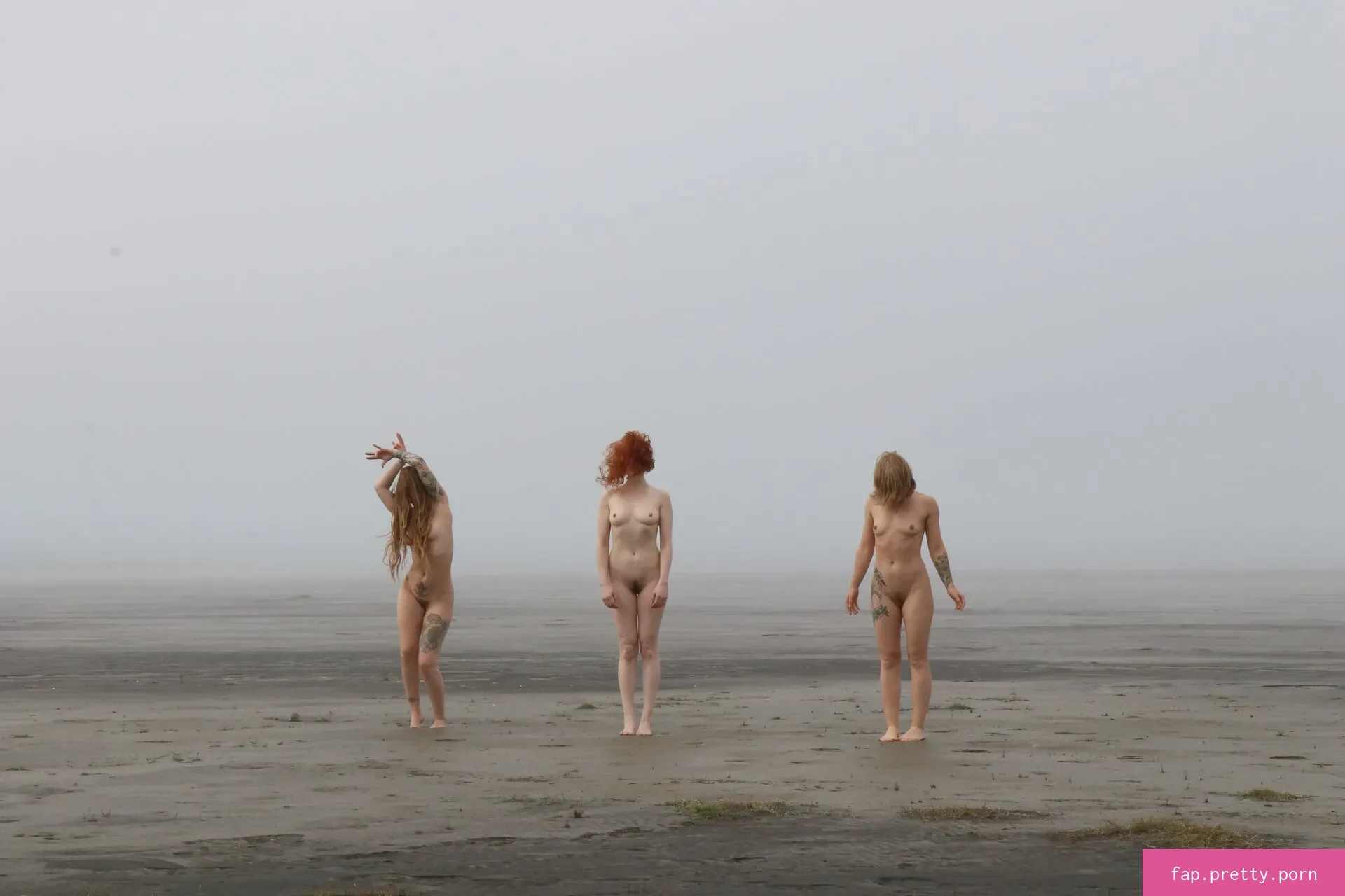 Icelandic Selkie - Photo #74