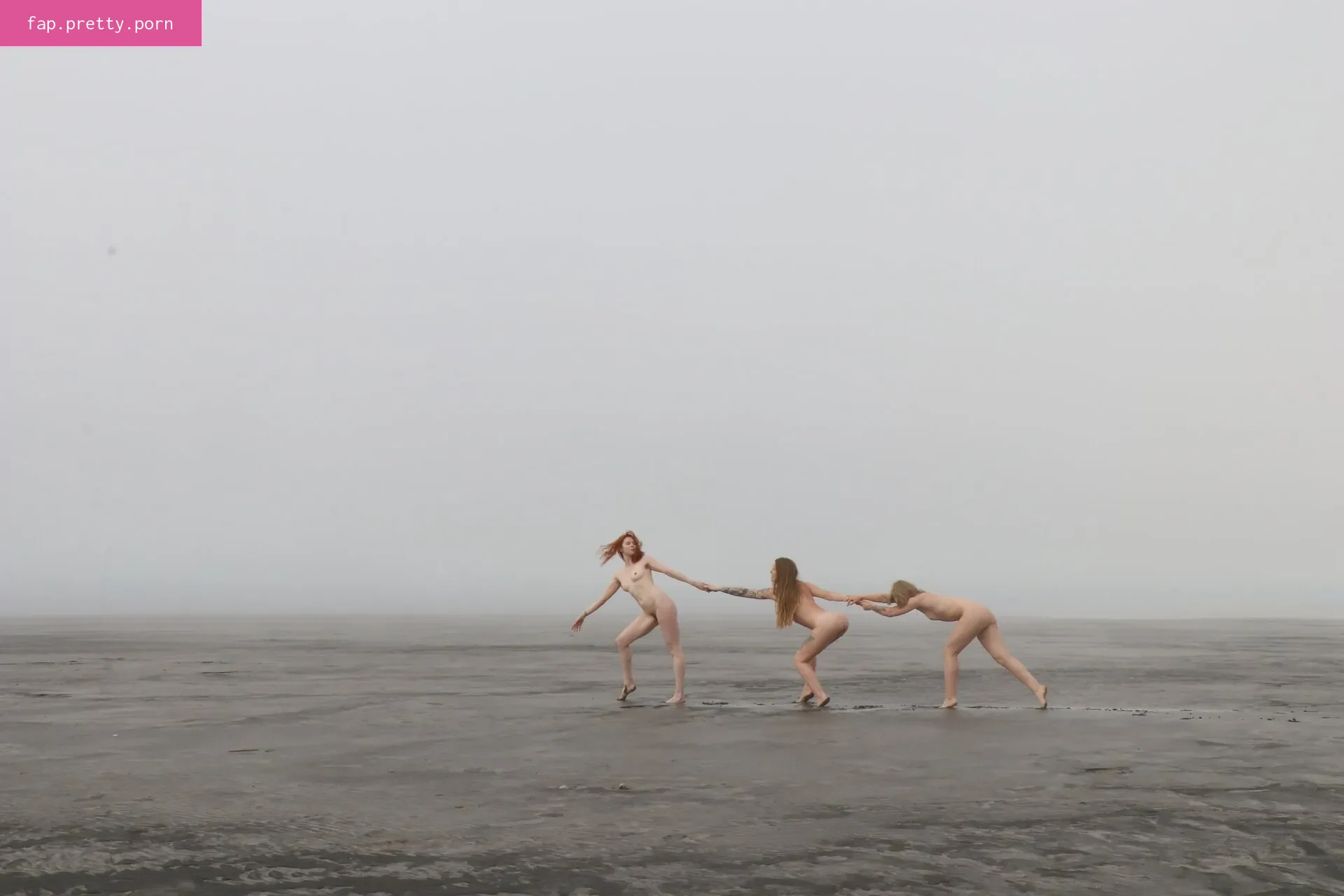 Icelandic Selkie - Photo #97