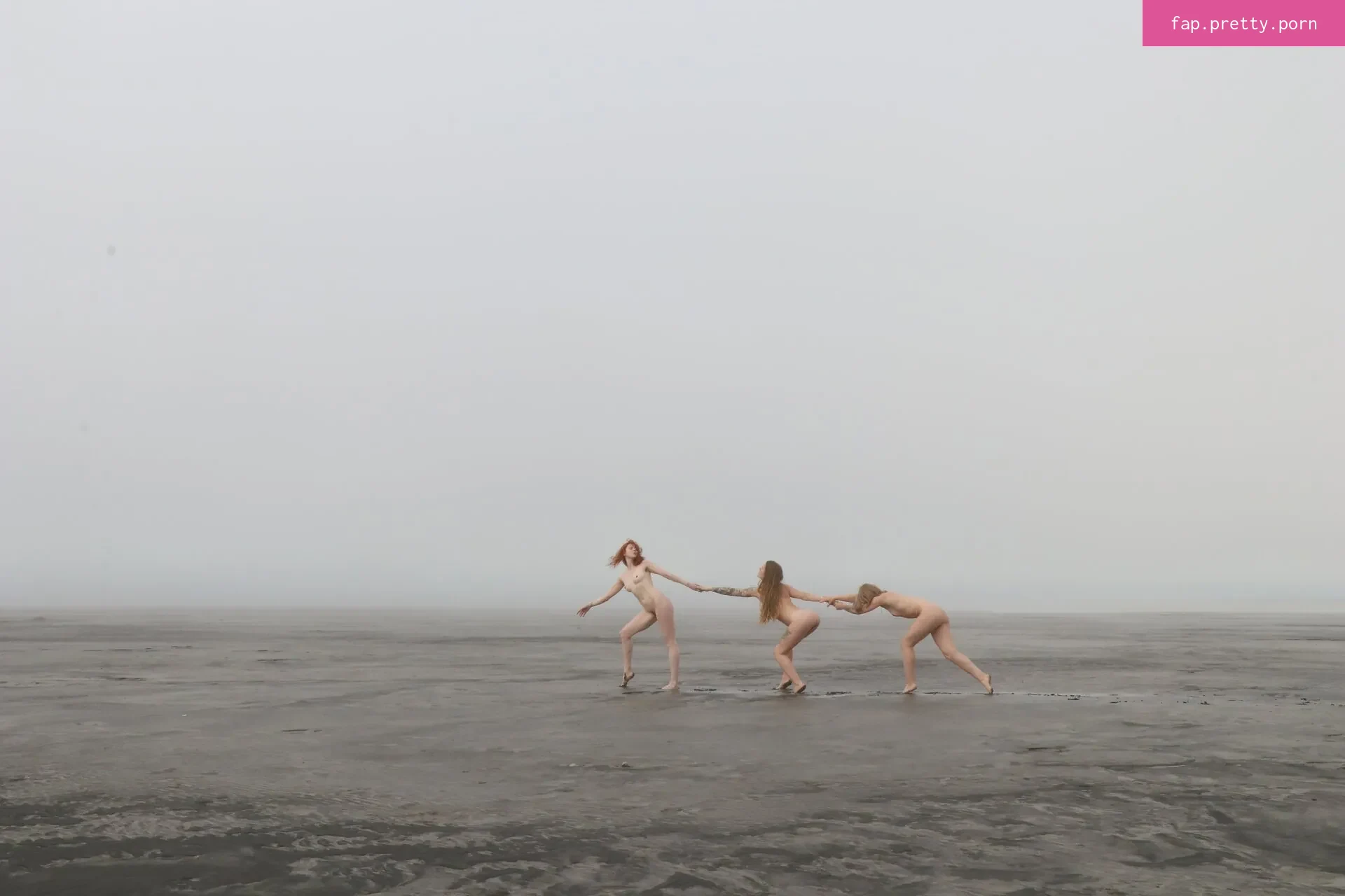 Icelandic Selkie - Photo #98