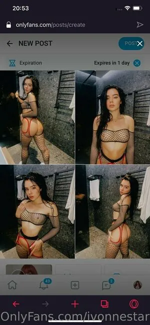 ivonnestark