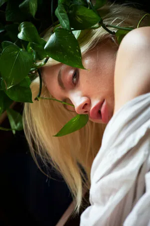 Ivy Wolfe