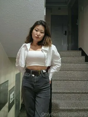 jandvip