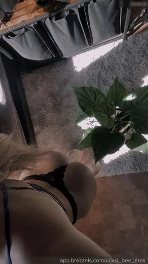 Jxsi_bee_ares