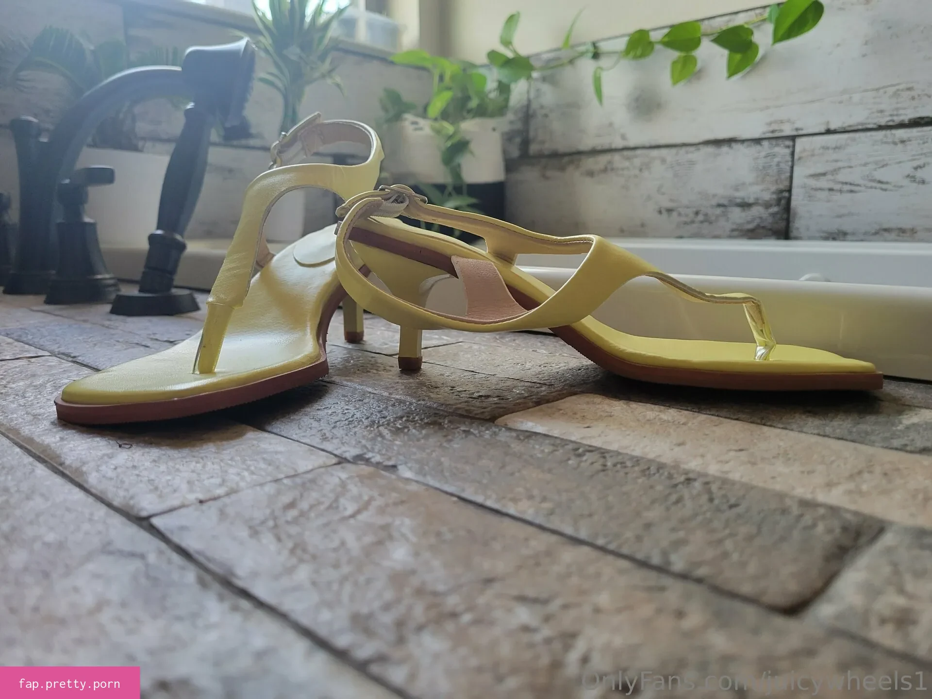 juicywheels1 - Photo #09