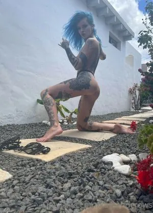 Katsandcrows