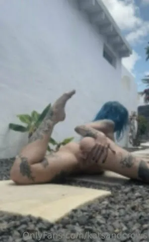 Katsandcrows