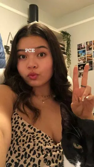 Kattjia