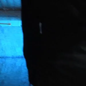 Kaydendaily