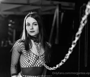 kinkymorgantea