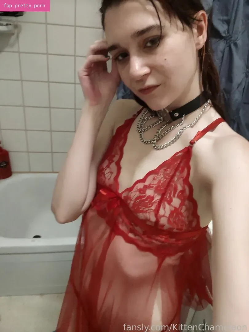 KittenChameleon - Photo #21