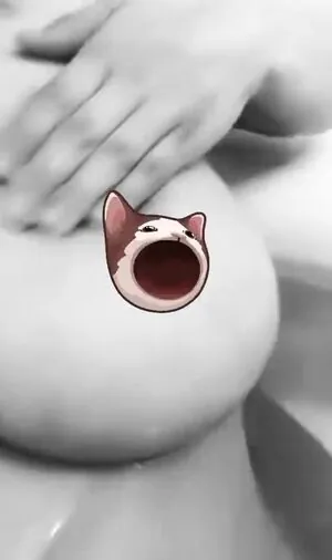 kitty_ketttt