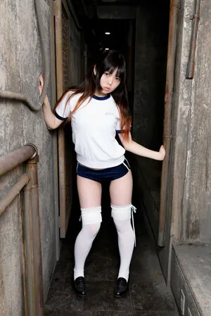 Koronsui