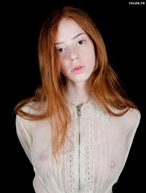 Lilymark content