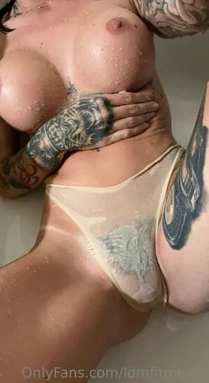 ldmfitmodel