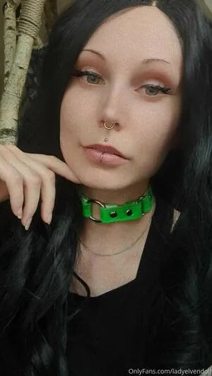 ladyelvendoll