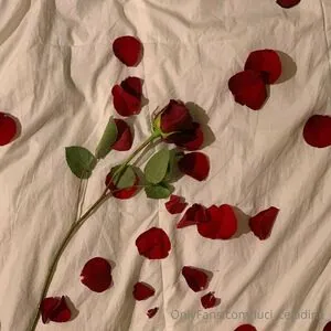 luci_celadine_