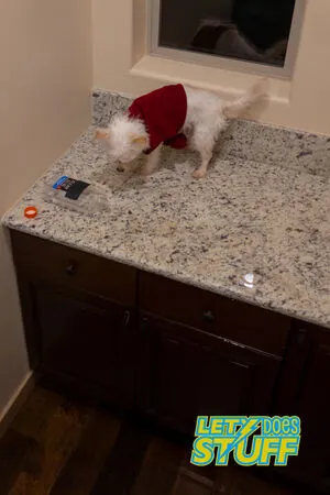 Lety Does Stuff