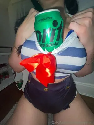 leksamink