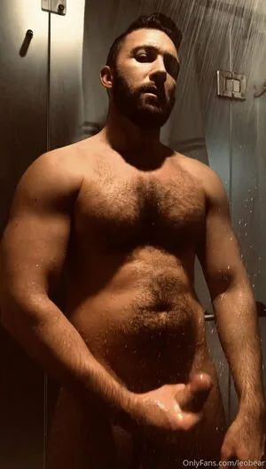leobear