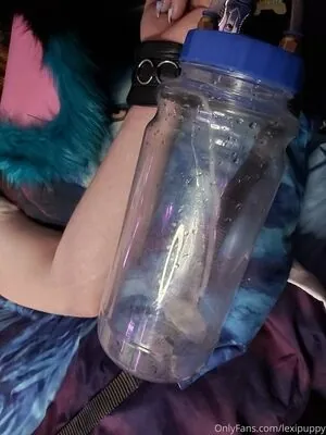 lexipuppy