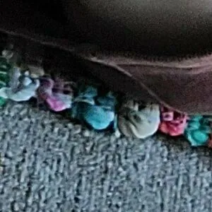 lilhippietoes