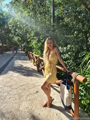 Lilyprosse