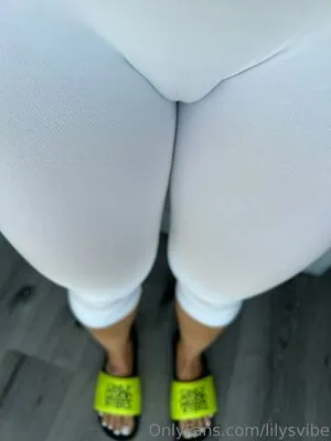 lilysvibe