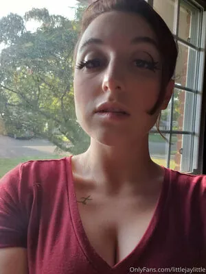 littlejaylittle