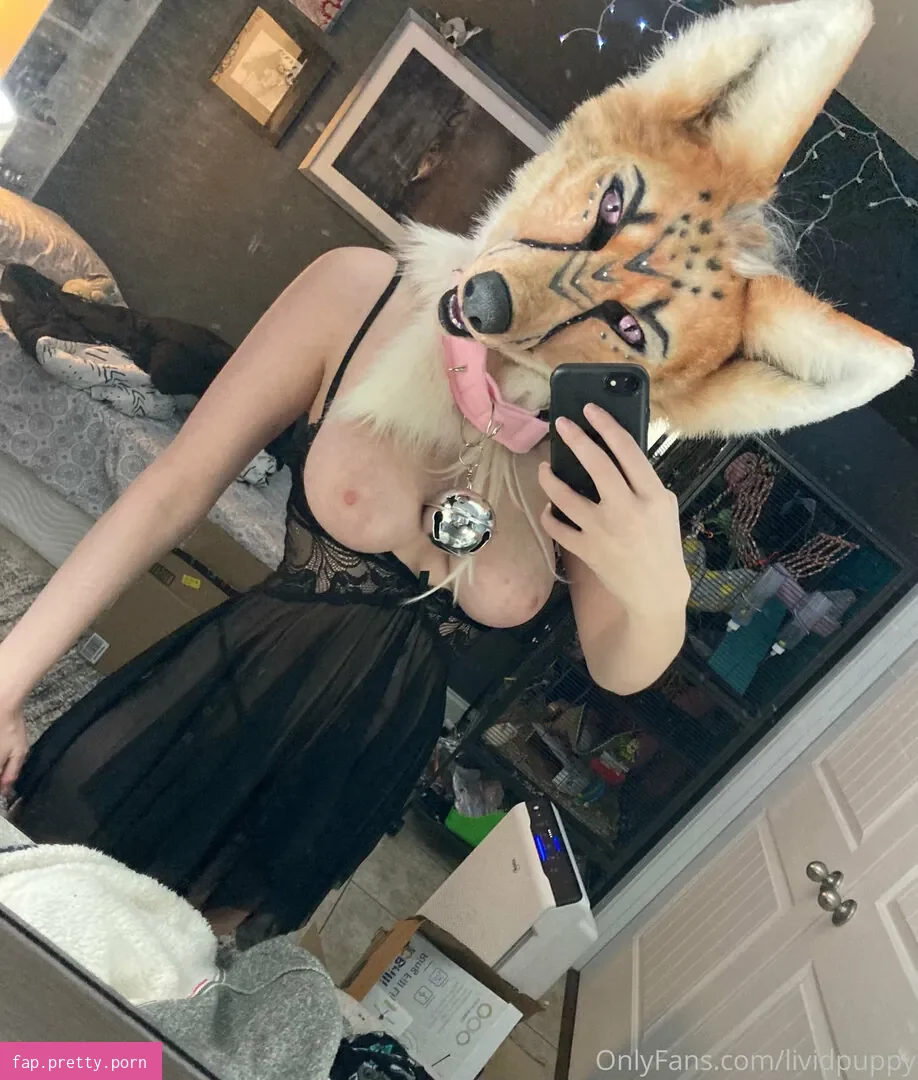 LividPuppy - Photo #55