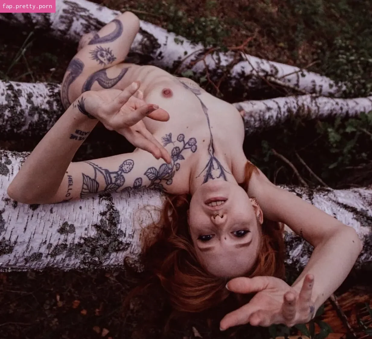 lis_na_polu_bzu - Photo #04