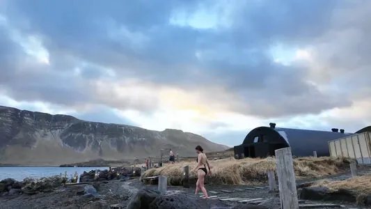 Loserfruit