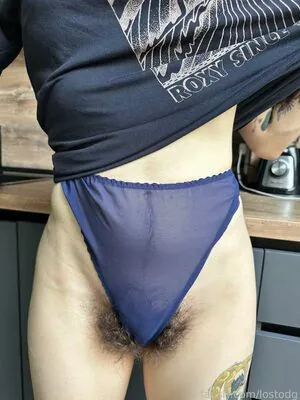 lostodg