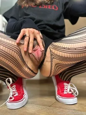 lostodg
