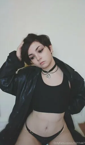 luciuskitten