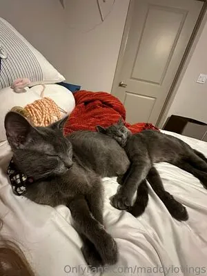 maddylovings