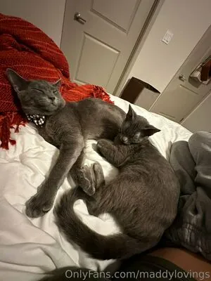 maddylovings