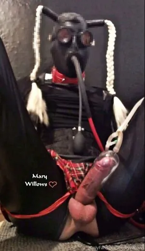 marywillows
