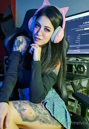 meivox