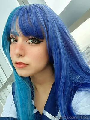 meivox