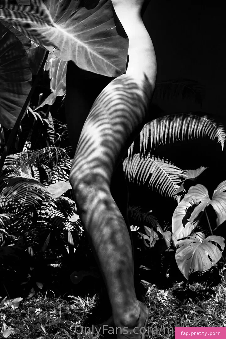 melmeyer - Photo #63