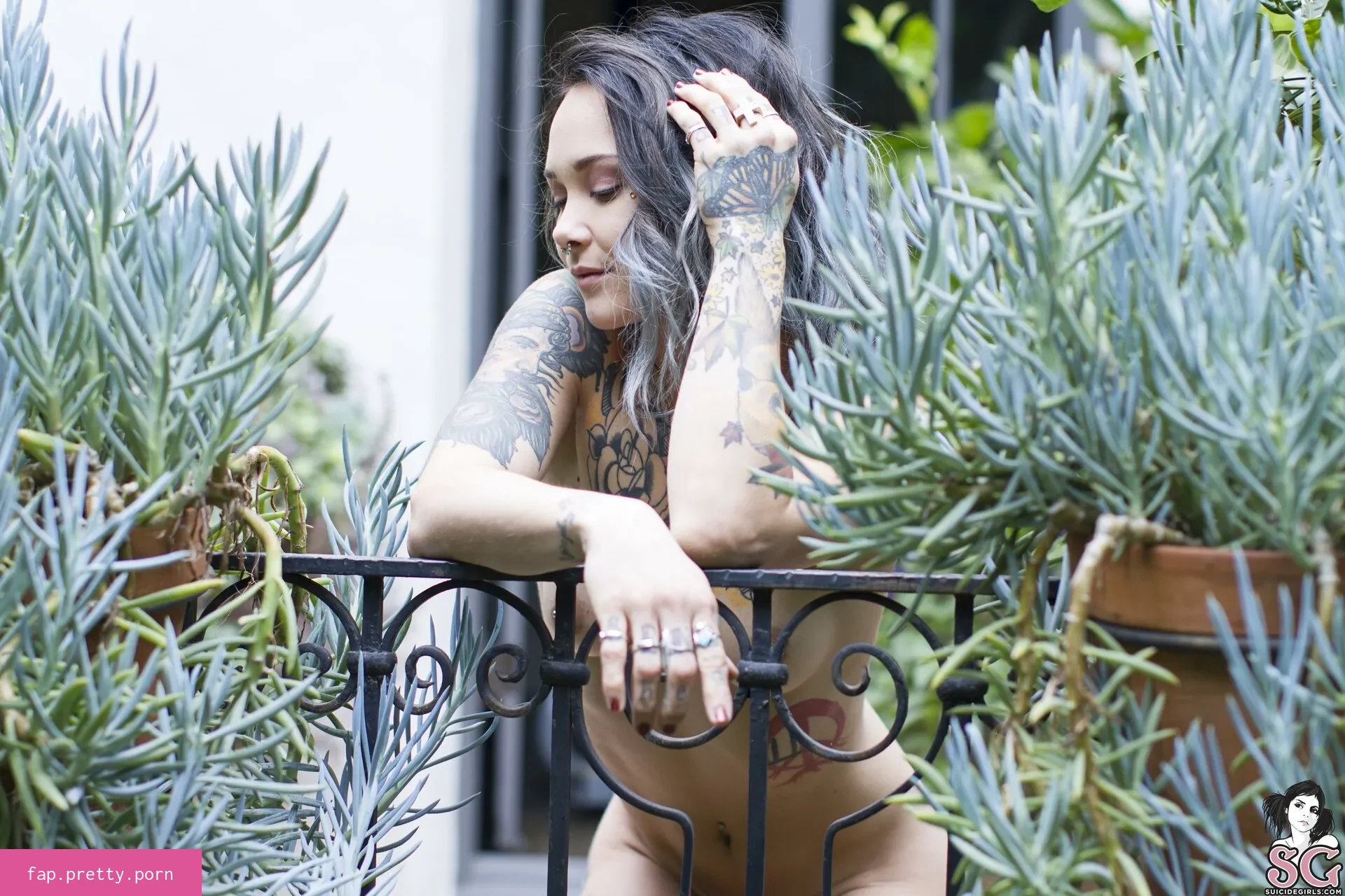 Mernie - Photo #42