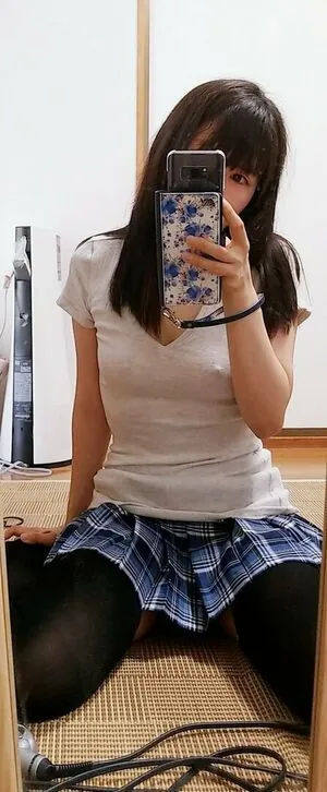 meru12sai