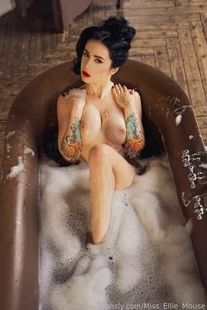 Miss Ellie Mouse