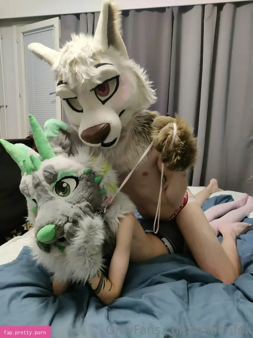 midorifox - Photo #17
