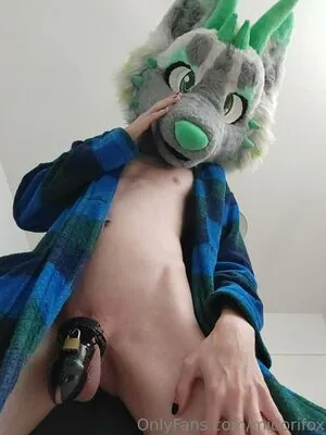 midorifox