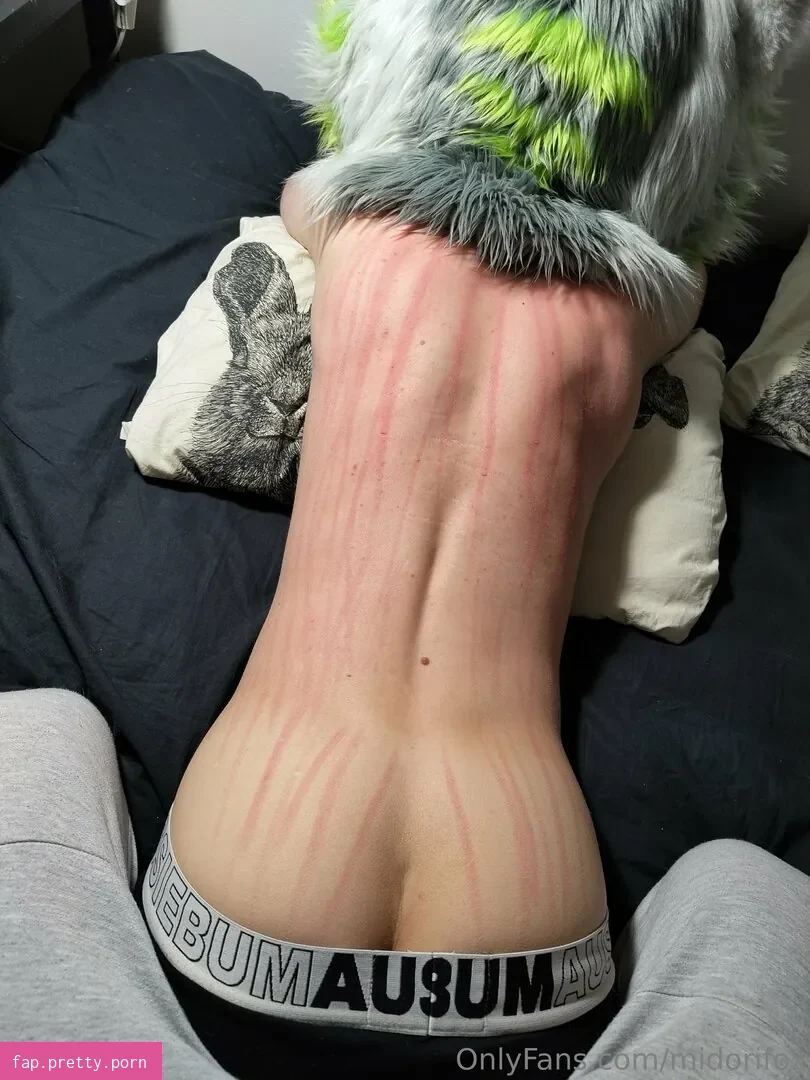 midorifox - Photo #43