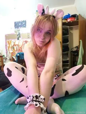 misowox