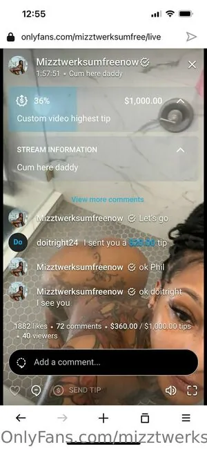 mizztwerksumfree
