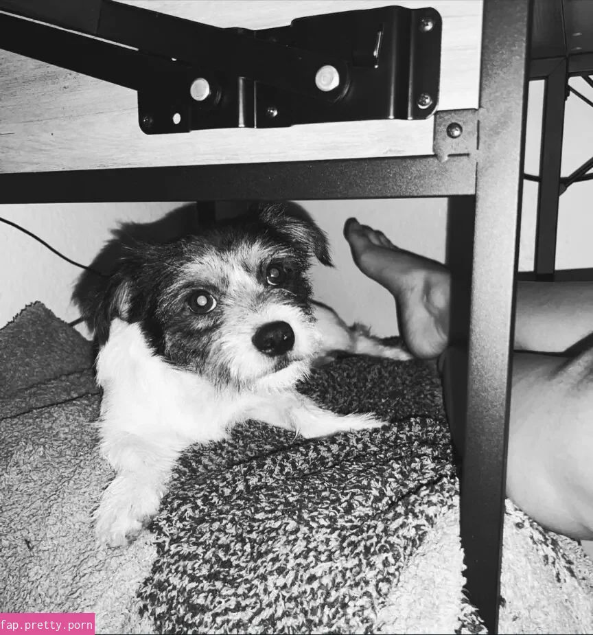 Mally_Mouse - Photo #83