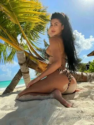 mari.mis